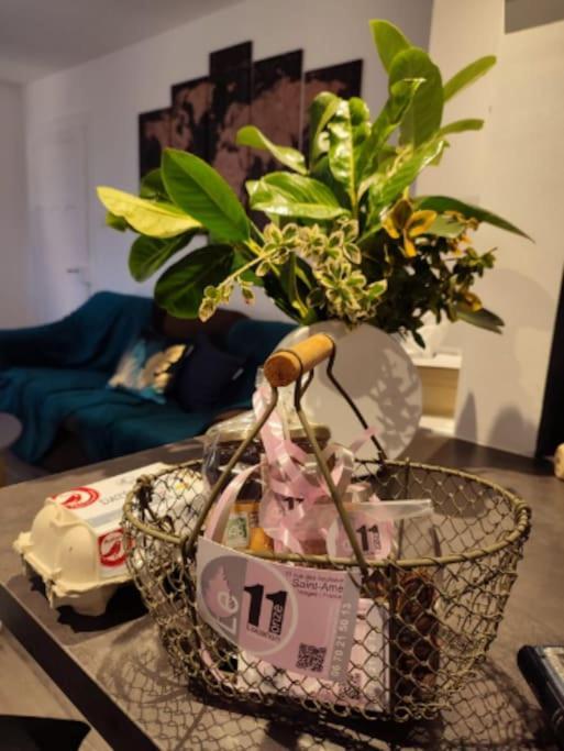 Gite Cosy Avec Avec Jardin Et Parking Privatifs - Hautes Vosges Saint-Ame Bagian luar foto