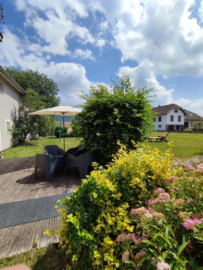 Gite Cosy Avec Avec Jardin Et Parking Privatifs - Hautes Vosges Saint-Ame Bagian luar foto