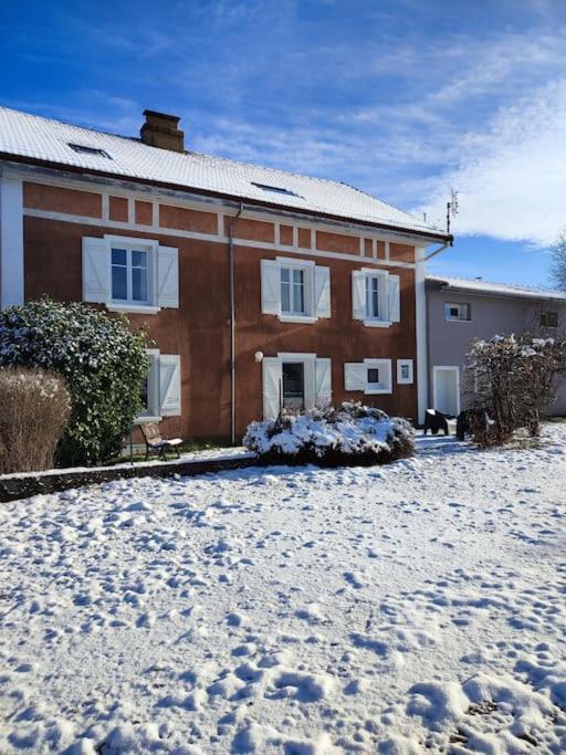 Gite Cosy Avec Avec Jardin Et Parking Privatifs - Hautes Vosges Saint-Ame Bagian luar foto